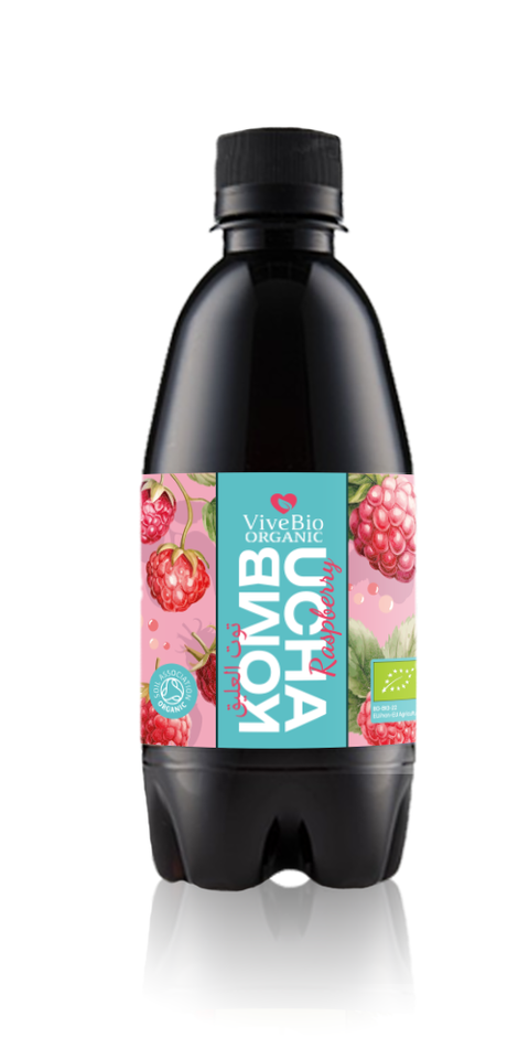 Vive Bio Organic Kombucha Raspberry