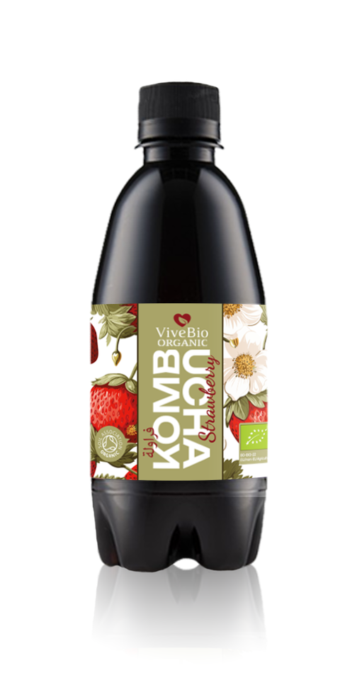 Vive Bio Organic Kombucha Strawberry
